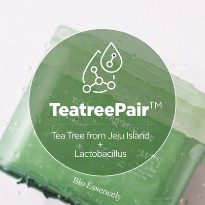 Almohadillas Día & Noche