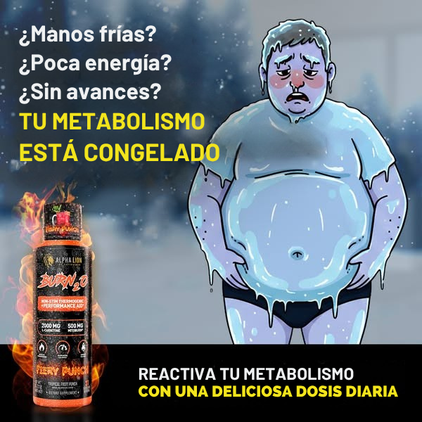 QUEMADOR DE GRASAS TERMOGÉNICO -BURN20