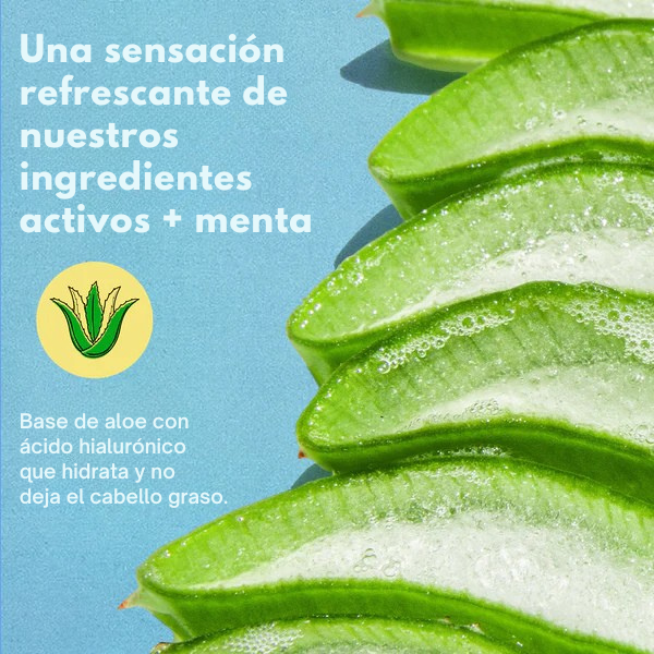 SUERO ANTI-CAÍDA PARA EL CUERO CABELLUDO Y EL CABELLO