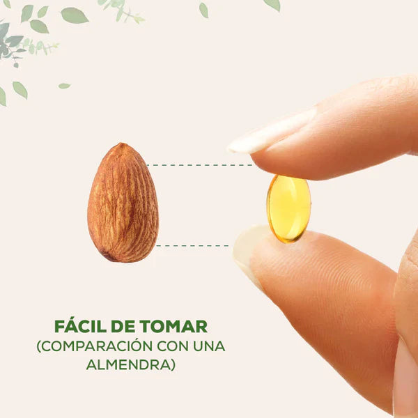 Cápsulas Naturales Aceite de Orégano